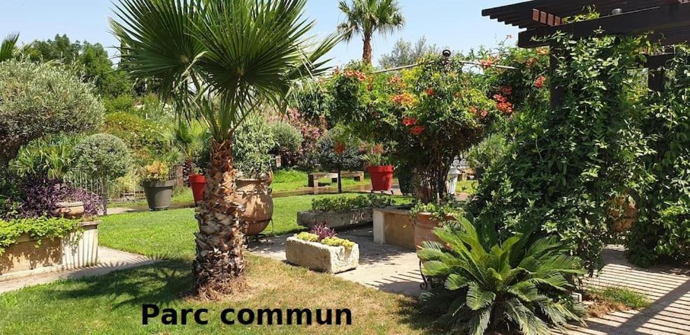 Mas La Farelle Gite, Fitness & Salle De Jeux Gratuite & En Supplement Holiday home