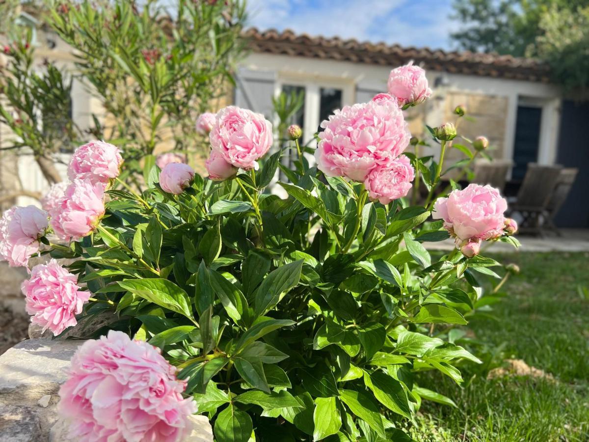 Mas La Farelle Gite, Fitness & Salle De Jeux Gratuite & En Supplement * Nimes